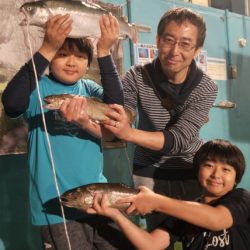 としまえんフィッシングエリア 釣果