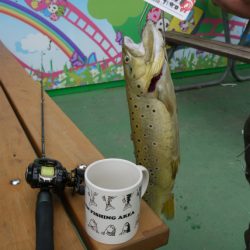 としまえんフィッシングエリア 釣果