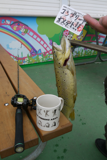 としまえんフィッシングエリア 釣果
