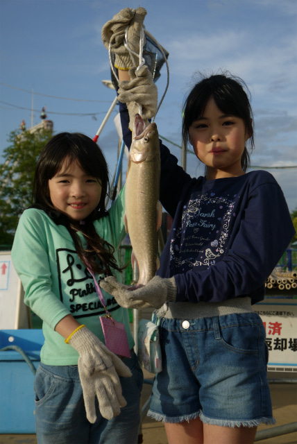 としまえんフィッシングエリア 釣果