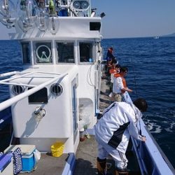 小樽港遊漁船SHAKE 釣果