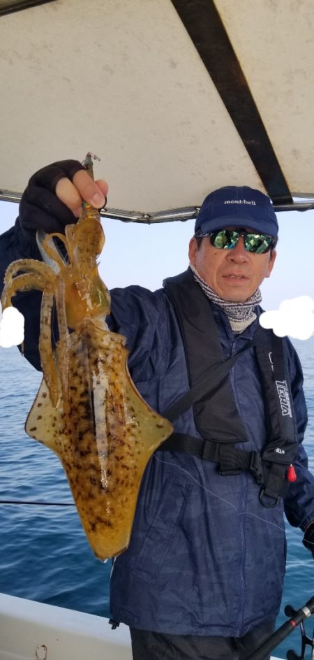 ソルトウォーターガイドフレンズ 釣果