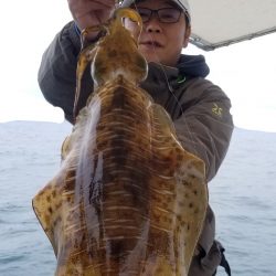 ソルトウォーターガイドフレンズ 釣果