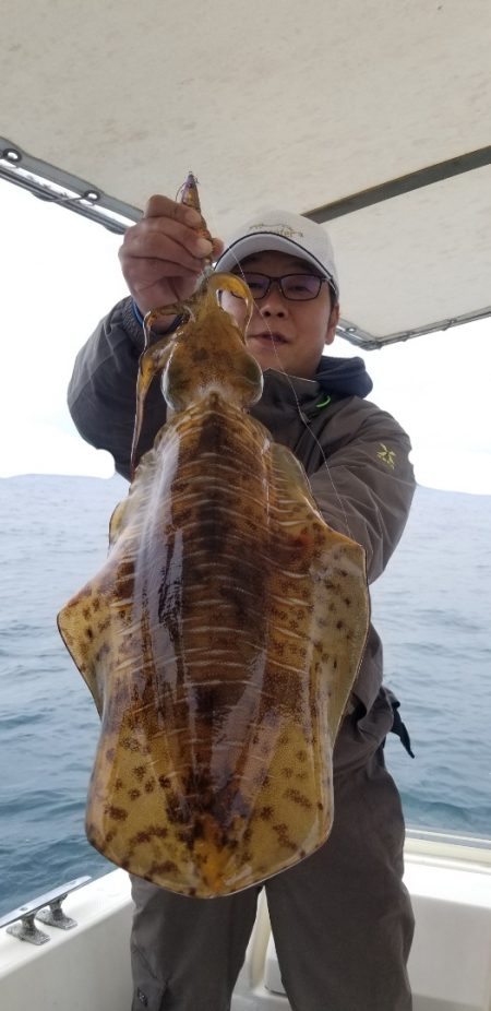 ソルトウォーターガイドフレンズ 釣果