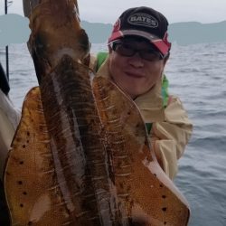 ソルトウォーターガイドフレンズ 釣果