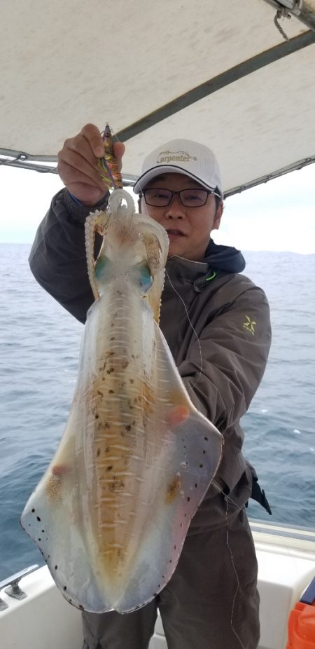 ソルトウォーターガイドフレンズ 釣果