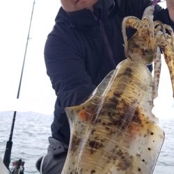 ソルトウォーターガイドフレンズ 釣果