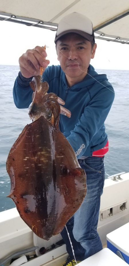 ソルトウォーターガイドフレンズ 釣果