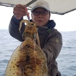 ソルトウォーターガイドフレンズ 釣果