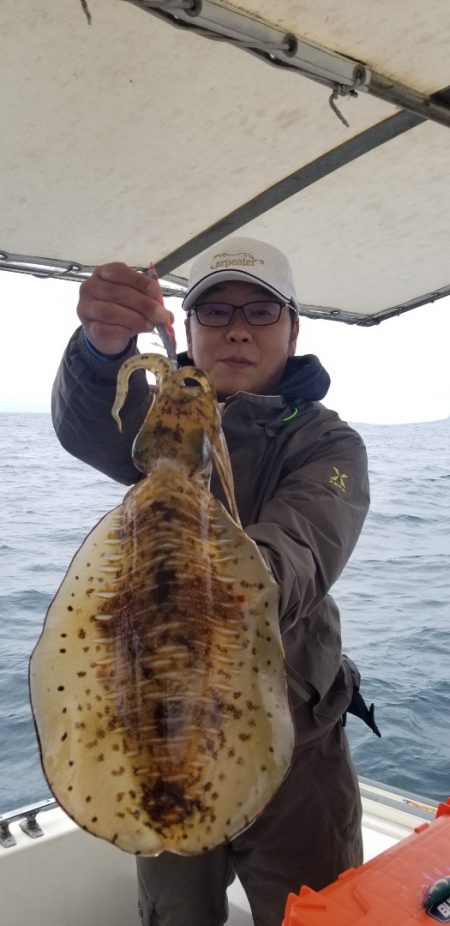 ソルトウォーターガイドフレンズ 釣果