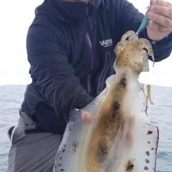 ソルトウォーターガイドフレンズ 釣果