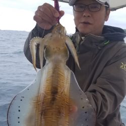 ソルトウォーターガイドフレンズ 釣果