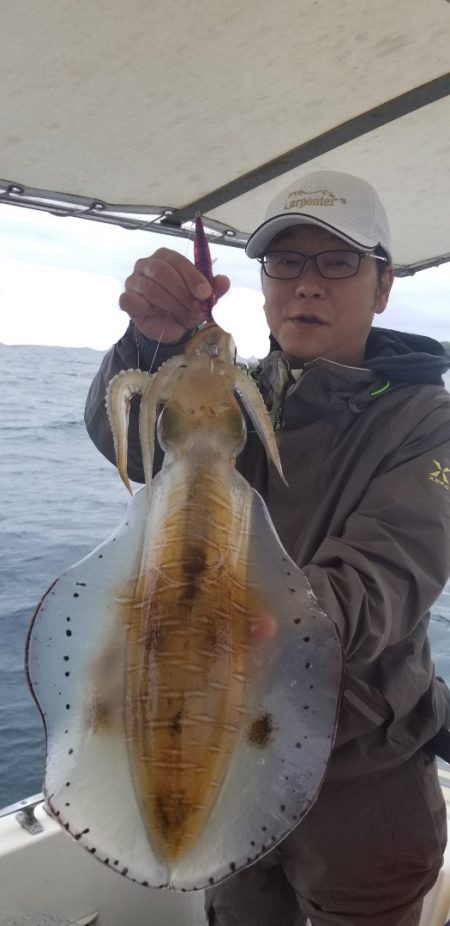 ソルトウォーターガイドフレンズ 釣果