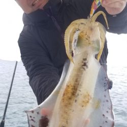 ソルトウォーターガイドフレンズ 釣果