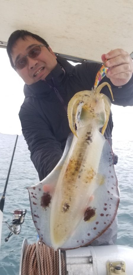 ソルトウォーターガイドフレンズ 釣果