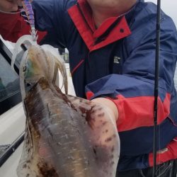 ソルトウォーターガイドフレンズ 釣果