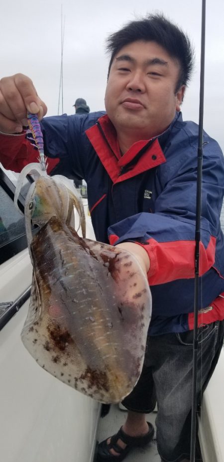 ソルトウォーターガイドフレンズ 釣果