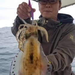 ソルトウォーターガイドフレンズ 釣果