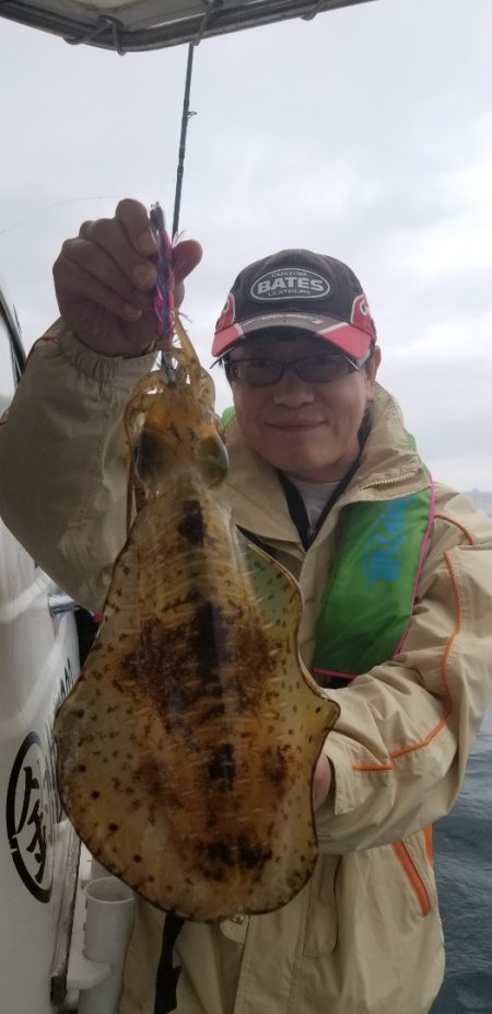 ソルトウォーターガイドフレンズ 釣果