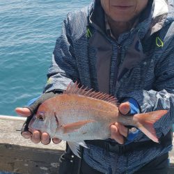海龍丸(石川) 釣果