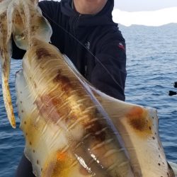 ソルトウォーターガイドフレンズ 釣果