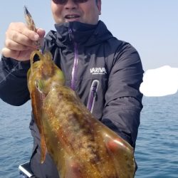 ソルトウォーターガイドフレンズ 釣果