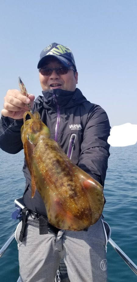 ソルトウォーターガイドフレンズ 釣果