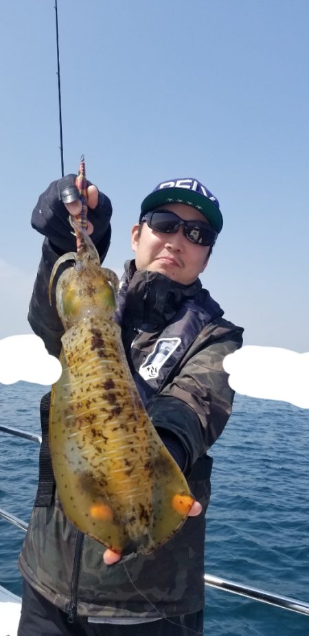 ソルトウォーターガイドフレンズ 釣果