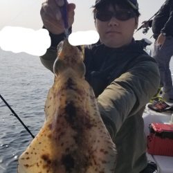 ソルトウォーターガイドフレンズ 釣果