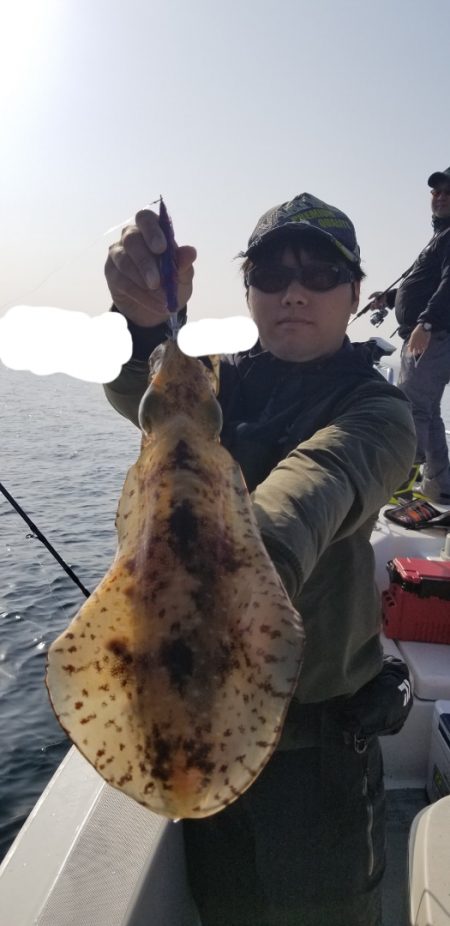 ソルトウォーターガイドフレンズ 釣果