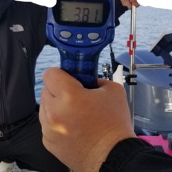 ソルトウォーターガイドフレンズ 釣果