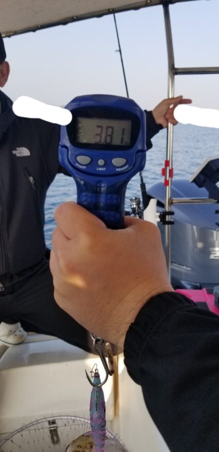 ソルトウォーターガイドフレンズ 釣果