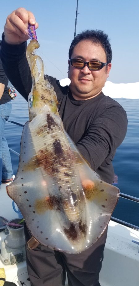 ソルトウォーターガイドフレンズ 釣果