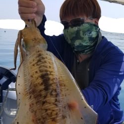 ソルトウォーターガイドフレンズ 釣果