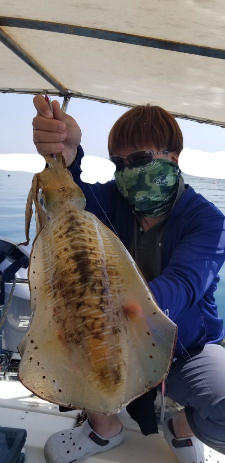 ソルトウォーターガイドフレンズ 釣果