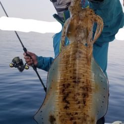 ソルトウォーターガイドフレンズ 釣果