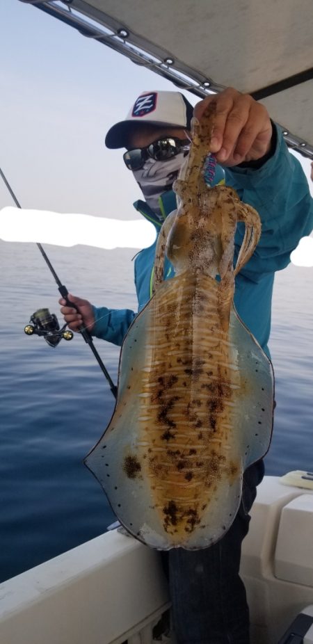 ソルトウォーターガイドフレンズ 釣果