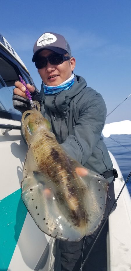 ソルトウォーターガイドフレンズ 釣果