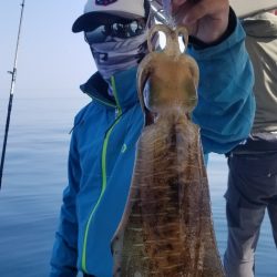 ソルトウォーターガイドフレンズ 釣果