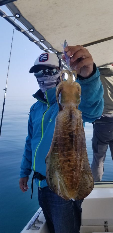 ソルトウォーターガイドフレンズ 釣果