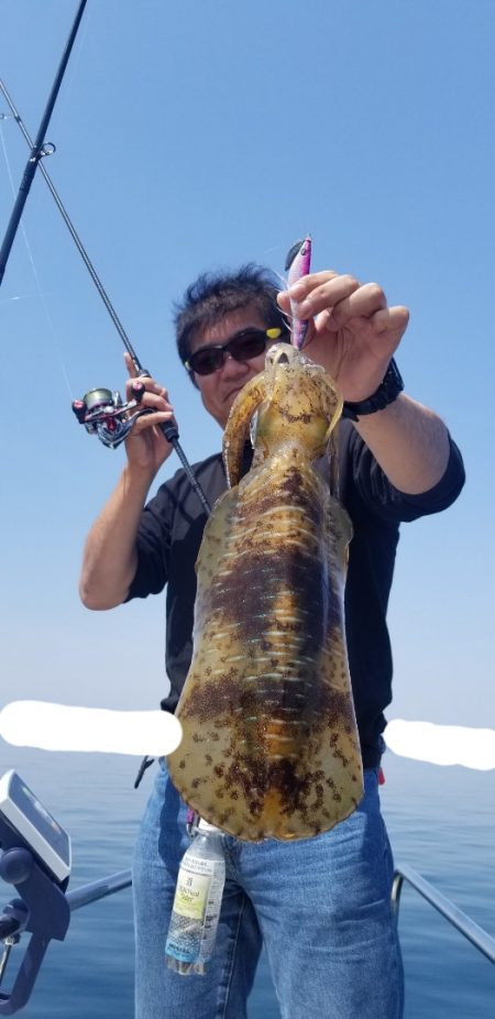 ソルトウォーターガイドフレンズ 釣果