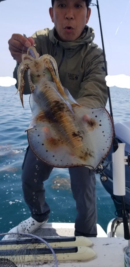 ソルトウォーターガイドフレンズ 釣果