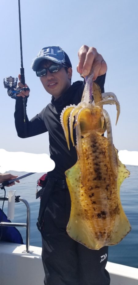 ソルトウォーターガイドフレンズ 釣果