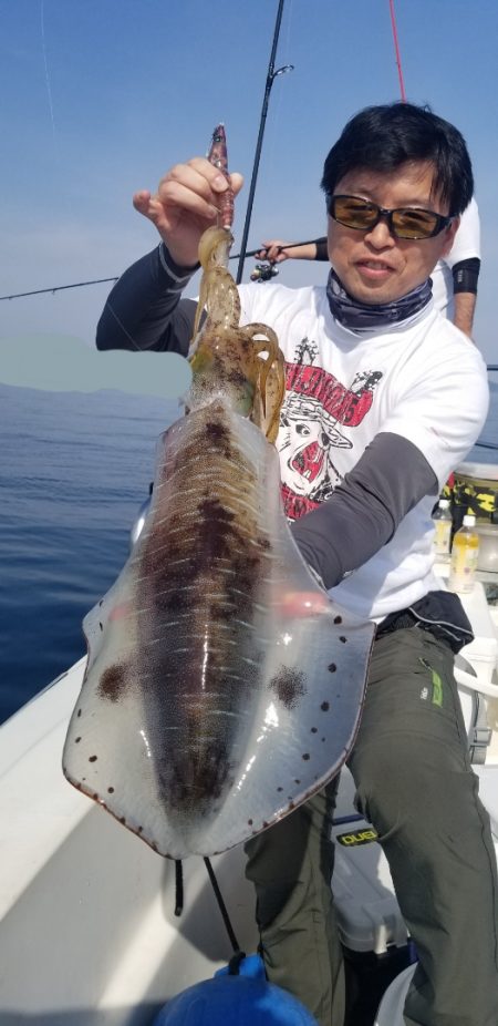 ソルトウォーターガイドフレンズ 釣果