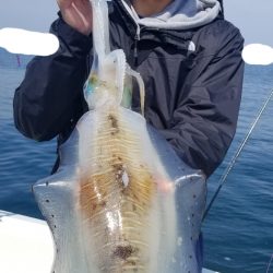 ソルトウォーターガイドフレンズ 釣果