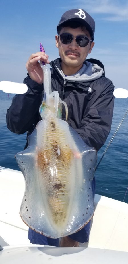 ソルトウォーターガイドフレンズ 釣果