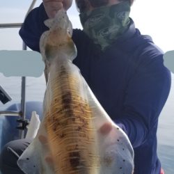 ソルトウォーターガイドフレンズ 釣果