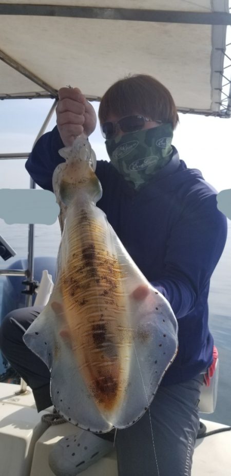 ソルトウォーターガイドフレンズ 釣果