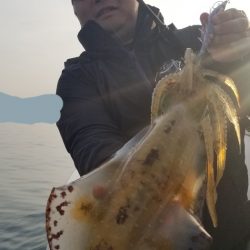 ソルトウォーターガイドフレンズ 釣果