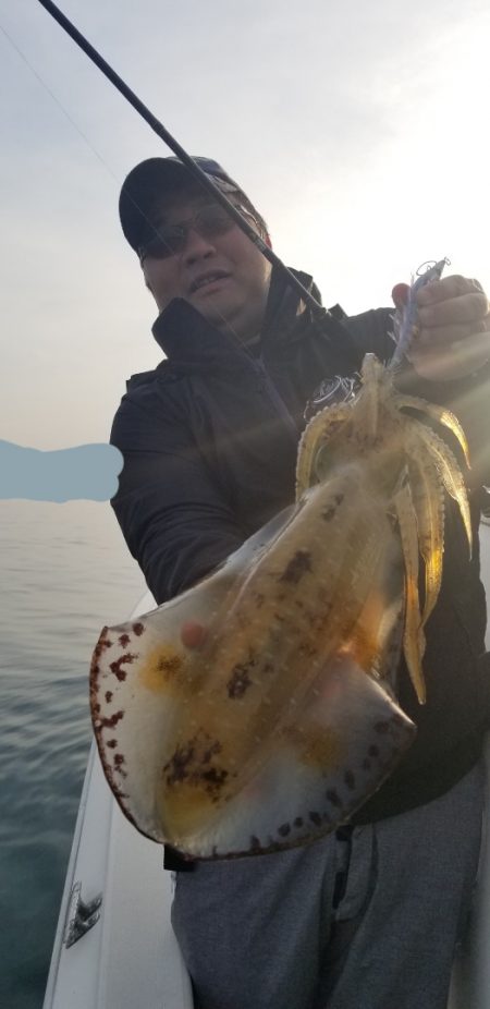 ソルトウォーターガイドフレンズ 釣果